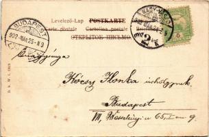 1902 Lady art postcard, romantic couple. B.K.W.I. 731/3. (EK)