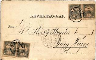 1900 Art Nouveau lady art postcard. Floral (kis szakadás / small tear)