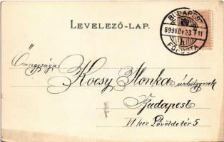 1899 (Vorläufer) Lady art postcard. Klein V. Floral, litho (EK)