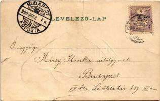 1900 Lady art postcard. litho (b)