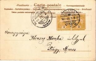 1901 Lady art postcard