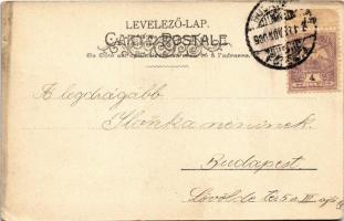 1900 Lady art postcard (fa)