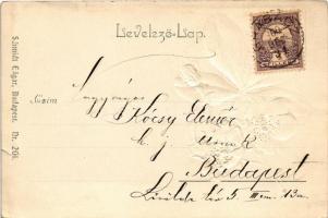 1900 Boldog Újévet / New Year greeting art postcard with clover. Emb. litho (lyuk / pinhole)