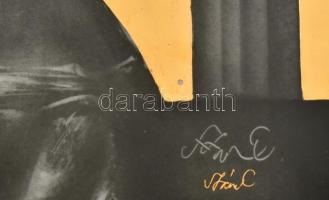 Szász Endre (1926-2003): Olympia 1980 (limitált példány (30/14)) Magyar Cselgáncs Szönetség. Porcelá...