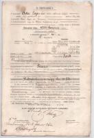 Budapest 1902. "Első Magyar Általános Biztosító Társaság Budapesten - Biztosítás az ember életé...