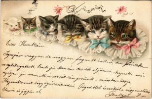 1899 (Vorläufer) Cats. litho (fl)