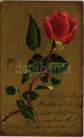 1900 Rose. litho (fl)