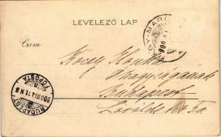 1900 Rose. litho (fl)