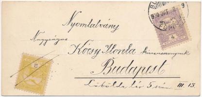 1900 Art Nouveau lady art postcard. litho (13,5 cm x 6,5 cm)