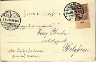 1901 Litho art postcard. Floral (fl)