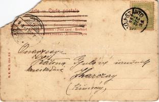 1902 Boldog Újévet! / New Year greeting art postcard with pig. B.K.W.I. 2514. K/2. (b)