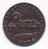 Német Államok / Brunswick-Wolfenbüttel Hercegség 1799MC 1pf Cu T:2- karc
German States / Principali...