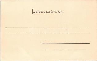 Budapest, Lánchíd, látkép. Ganz Antal 210