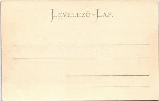 Budapest XI. Gellérthegy, Citadella, "HATTYÚ" gőzüzemű ingahajó