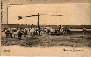 Bugac (Kecskemét), gulya itatása, gémeskút, magyar folklór. G. Fekete Gyula kiadása (fl)