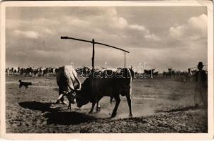 1938 Bugac (Kecskemét), bikaviadal. Barasits kiadása (EK)