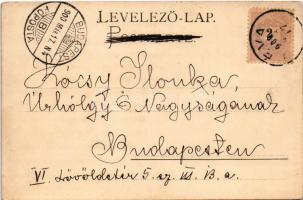 1900 Children art postcard, Cupid with hearts. Floral, litho (fl)