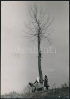 Vadas Ernő (1899-1962): Télutó, hátoldalon feliratozott, pecséttel jelzett fotó, felületén törésnyomok, szakadások, 23,5×16,5 cm