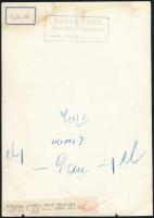 Vadas Ernő (1899-1962): Télutó, hátoldalon feliratozott, pecséttel jelzett fotó, felületén törésnyom...