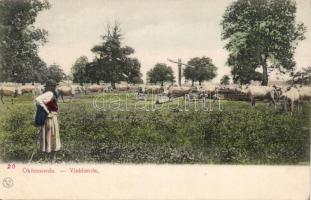 Hortobágy ökörcsorda