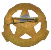 1962. "Díszszemle 1962" zománcozott, aranyozott bronz jelvény (26x28mm) T:1-