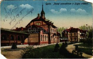 1917 Gyula, József szanatórium a Lugos erdőben (EM)