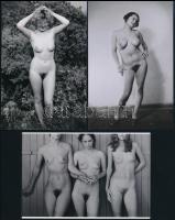 Eltérő időkben készült szolidan erotikus felvételek, 5 db mai nagyítás, 15×10 cm