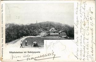 1907 Wien, Vienna, Bécs XIX. Döbling, Silberhuberhaus mit Habsburgwarte
