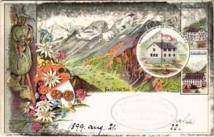 1899 (Vorläufer) Ferleiten (Tirol), Lukashansl., Tauern-Gasthof, Schwarzenberg-Hütte der Sect. Mainz D & Oe.A.V. Karl Theyer Art Nouveau, floral, litho (EK)