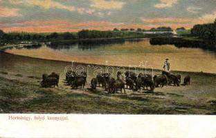 Hortobágy kannyájjal (EK)