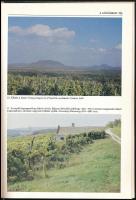 Laposa József: Szőlőhegyek a Balaton-felvidéken. Bp.,1988, Mezőgazdasági Kiadó. Gazdag képanyaggal, ...