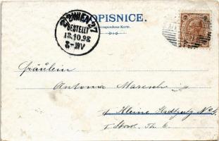 1898 (Vorläufer) Susice, Rozhledna na Svatoboru, Radnice, Kostel Andela Strazce, Restaurace u. Cápa,...