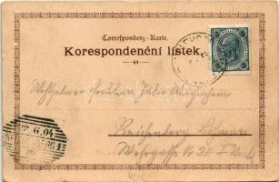 1904 Velehrad, Kostel a kláster Velehrádsky, Poutní chrám, Kaple Cyrillka. Art Nouveau, floral, lith...