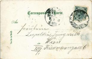 1900 Ceské Budejovice, Budweis; Schloss Frauenberg, Ringplatz mit Rathaus, Domkirche, Lanna Denkmal,...