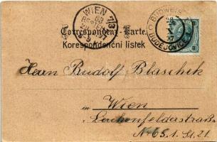 1897 (Vorläufer!) Ceské Budejovice, Budweis; Schloss Frauenberg, Ringplatz mit Rathaus, Domkirche, L...