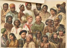 27 db vegyes illusztráció a Pallas és a Meyers lexikonból, vegyes állapotban, 30x24 cm körüli méretb...