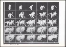 Beke László, Széphelyi György (szerk.:) Hajas Tibor. 1946-1980. Paris, 1985, Magyar Műhely, 22 sztl....