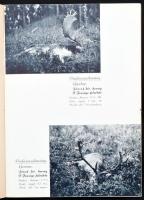 1940 Fotoszemle. Photoschau. Photorevue- Foto- és filmművészeti, tudományos és kritikai szemle. III....