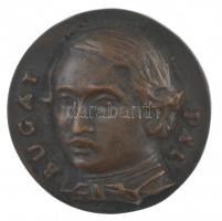 Csúcs Ferenc (1905-1999) 1948. Bugát Pál / Országos Főorvos 1849 kétoldalas, öntött bronz plakett (57mm) T:2