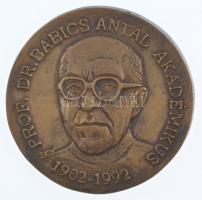 Bognár György (1944- ) DN Prof. Dr. Babics Antal Akadémikus 1902-1922 egyoldalas, öntött bronz plakett (81mm) T:1-