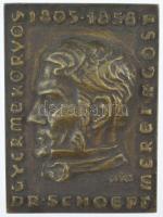 Csúcs Ferenc (1905-1999) 1955. DR. SCHOEPF-MÉREI ÁGOST - GYERMEKORVOS 1805 - 1858 kétoldalas, öntött bronz plakett (95x70mm) T:2