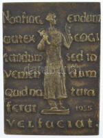 Csúcs Ferenc (1905-1999) 1955. "DR. SCHOEPF-MÉREI ÁGOST - GYERMEKORVOS 1805 - 1858" kétold...