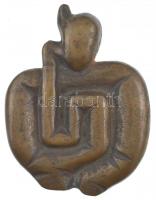 1983. 25 éves a Magyar Gastroenterologiai Társaság kétoldalas bronz emlékplakett (95x70mm) T:1- patina