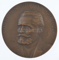 Vastagh László (1902-1972) 1929. Josephus Árkövy 1851-1922 egyoldalas bronz emlékérem (77mm) T:1-