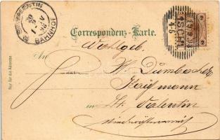 1898 (Vorläufer) Bad Ischl, Ischl mit Dachstein, Esplanade m. Hotel Elisabeth. Karl Schwidernoch Art...