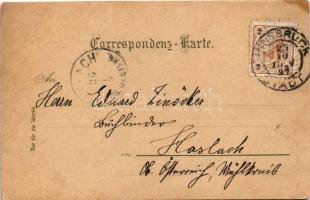 1897 (Vorläufer!) Innsbruck (Tirol), gegen Süden mit Hohe Saile, Maria Theresienstrasse. Art Nouveau...