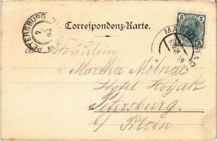 1905 Mariánské Lázne, Marienbad; Hotel Stern. Art Nouveau, floral, litho (EK)