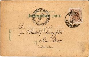 1898 (Vorläufer) Krivoklát, castle, general view, monument. Art Nouveau, floral, litho (EB)