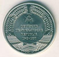 NSZK 2000. "A fal lebontása" T:PP