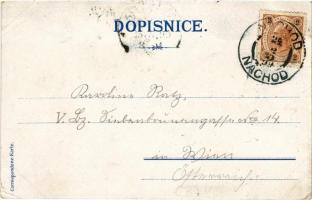 1899 (Vorläufer) Nové Mesto nad Metují, Pohled z Provaznice, Horského predmestí, Zámek s Bastou, Par...